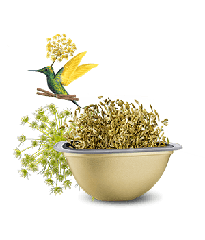 Avis de notre expert