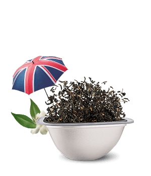 Avis de notre expert