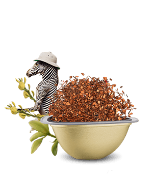 Avis de notre expert